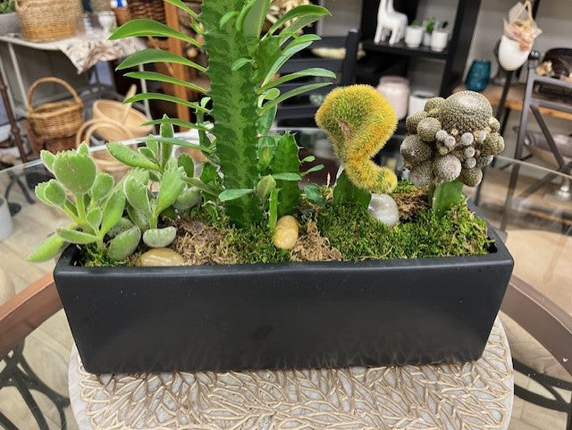 Garden Choices