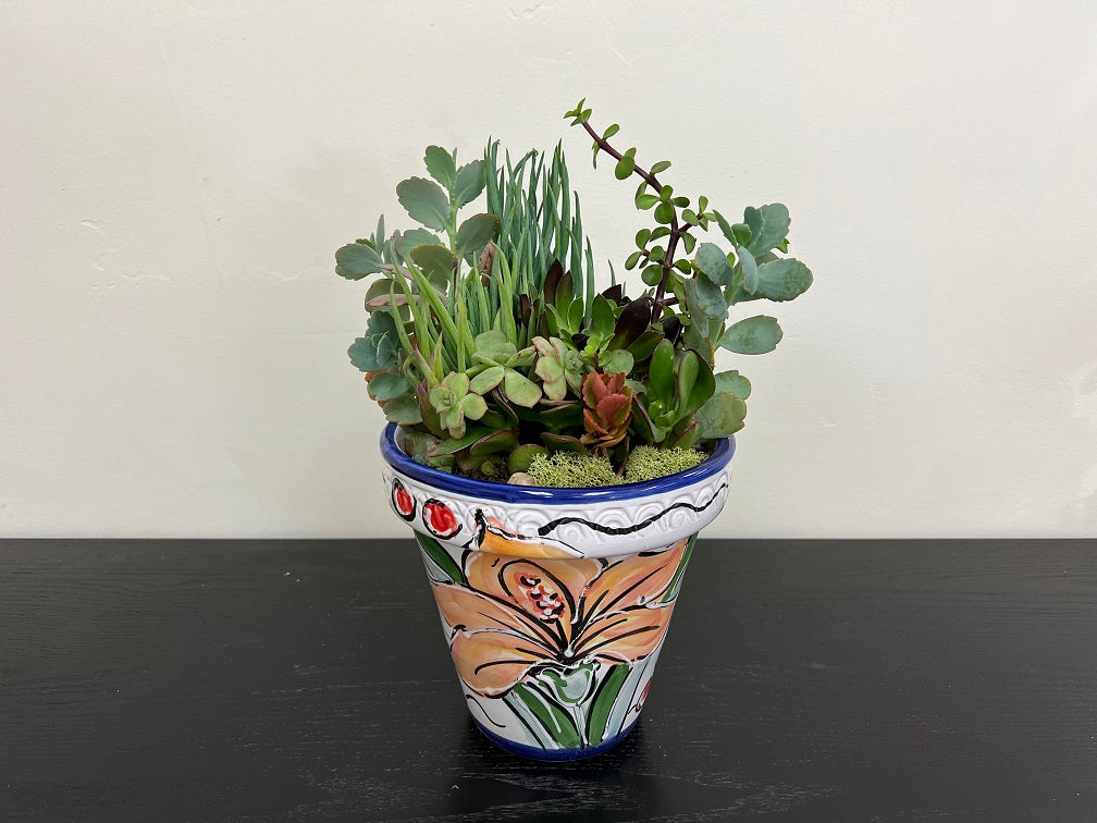 Ceramic Succulent