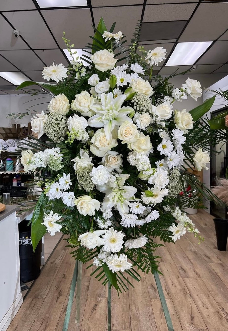 Serenity Blooms