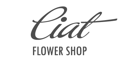  Ciatflower